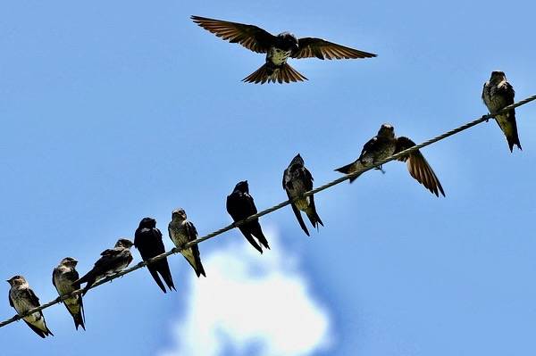 I'm saving this spot for someone else. by vladeb is licensed under CC BY-ND 2.0